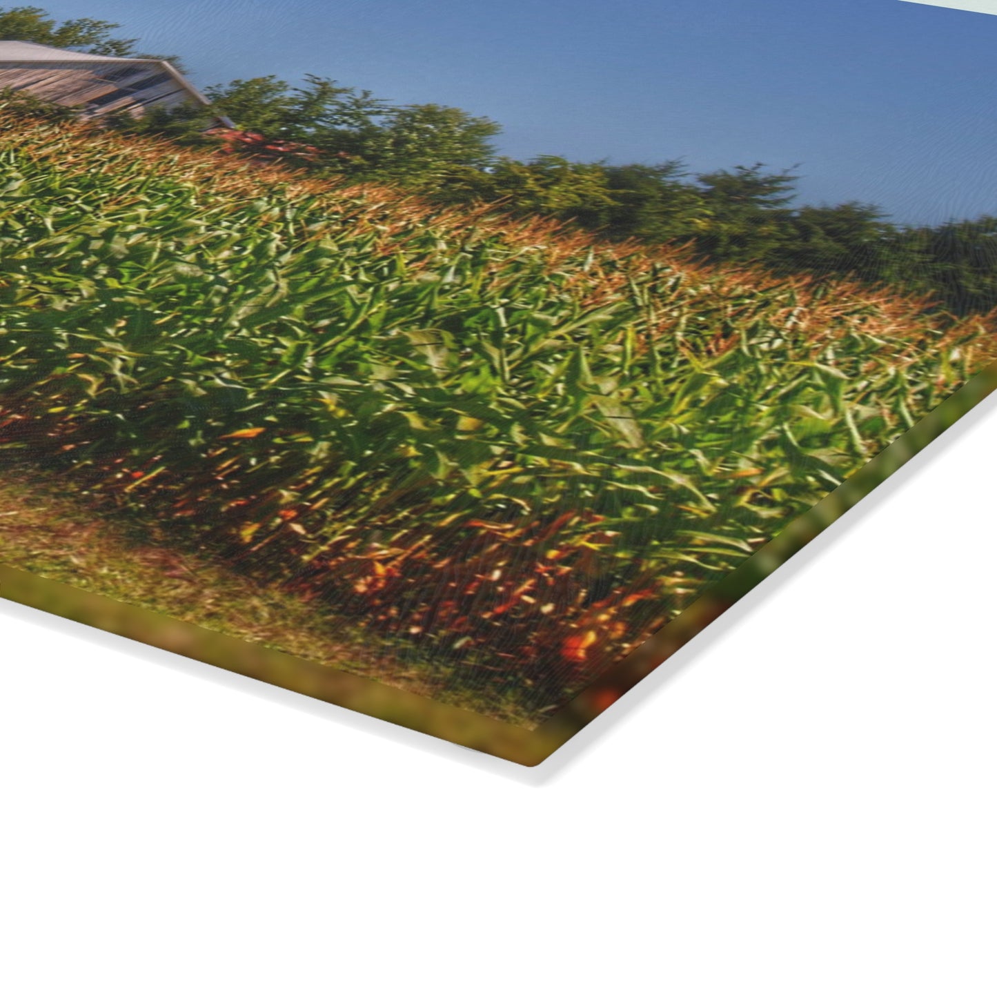 U R There Photography Beyond the Corn on Birch Run Road Rustic Farmhouse Tempered-Glass Cutting Board