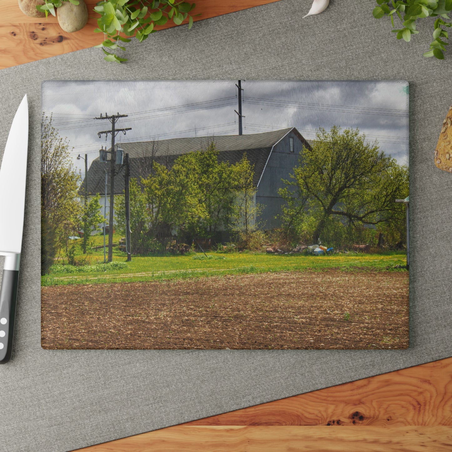 U R There Photography Rescue Road Old Grey Rustic Farmhouse Tempered-Glass Cutting Board