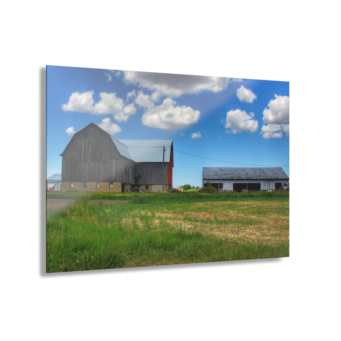 U R There Photography Cass City Elmwood Grey Rustic Farmhouse Acrylic Wall Print