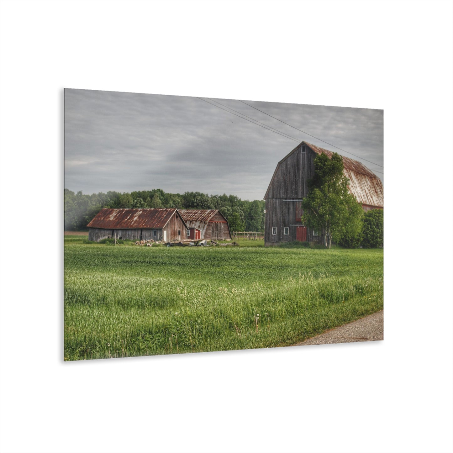 U R There Photography Barkley Road Trio Rustic Farmhouse Acrylic Wall Print