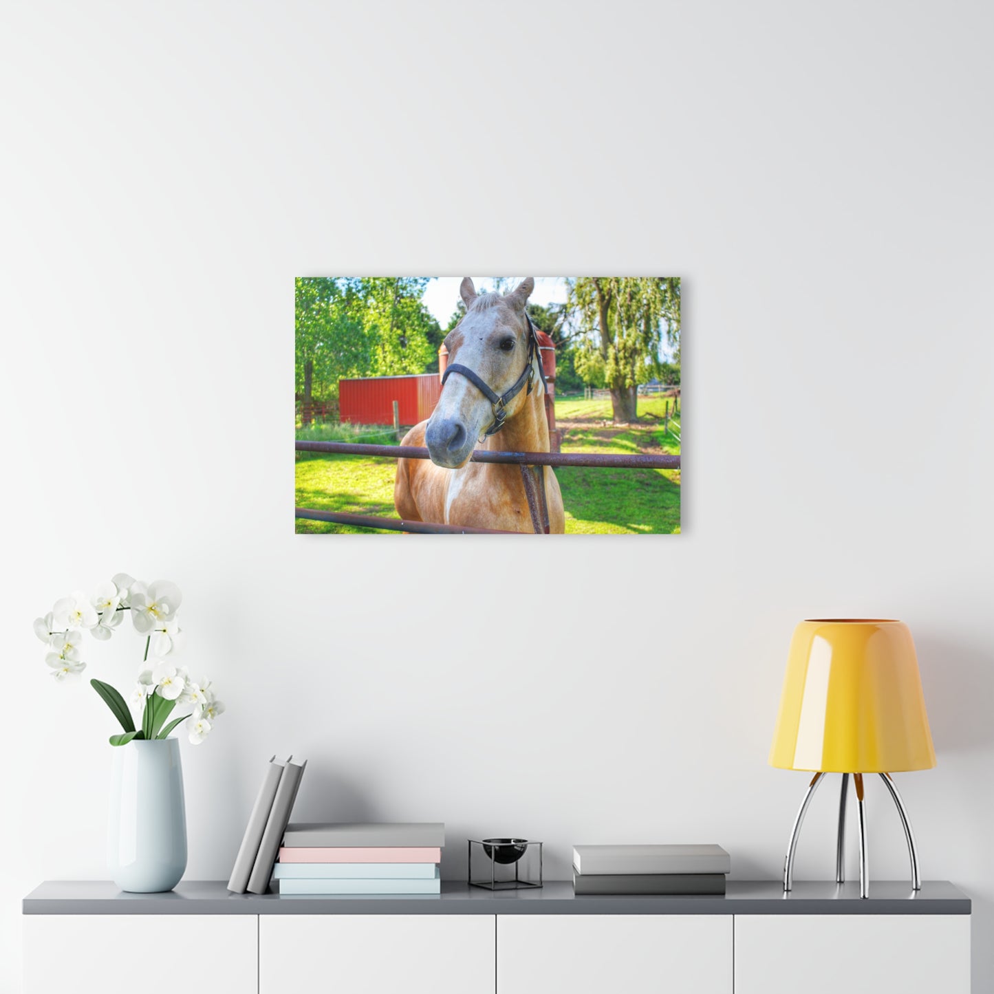 U R There Photography White Cream Mare of Hollenbeck Rustic Farmhouse Acrylic Wall Print 14 "x 11"