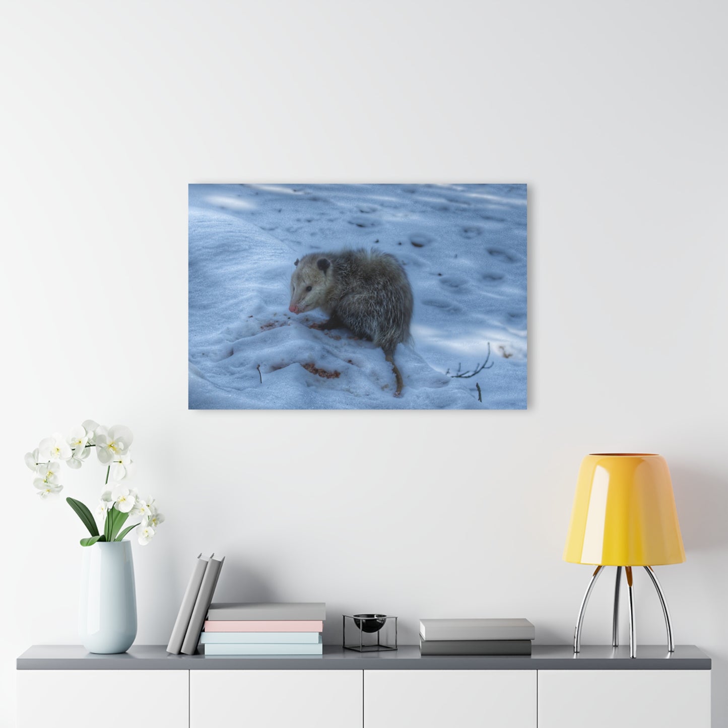 U R There Photography Sutton Road Possum Rustic Farmhouse Acrylic Wall Print