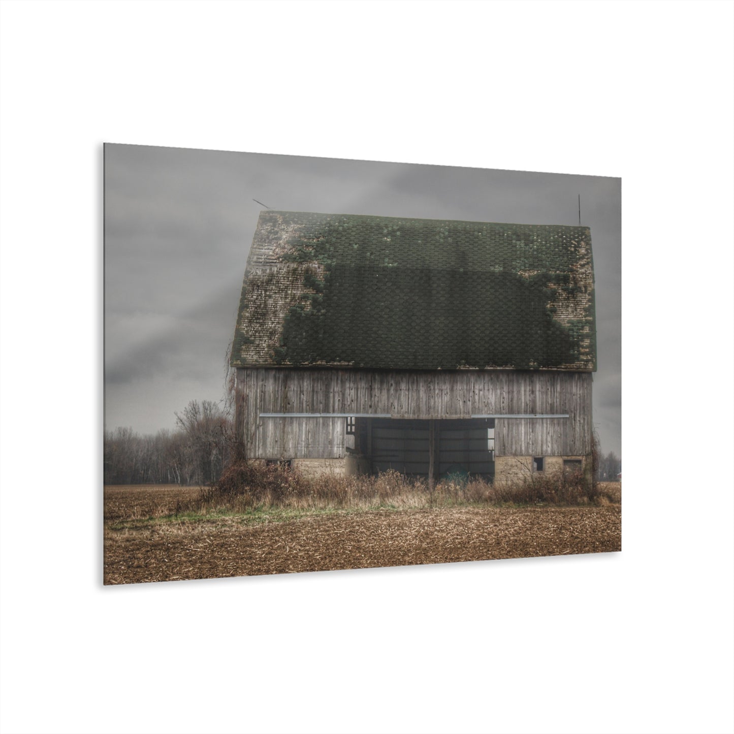 U R There Photography Stone Road Old Grey II Rustic Farmhouse Acrylic Wall Print