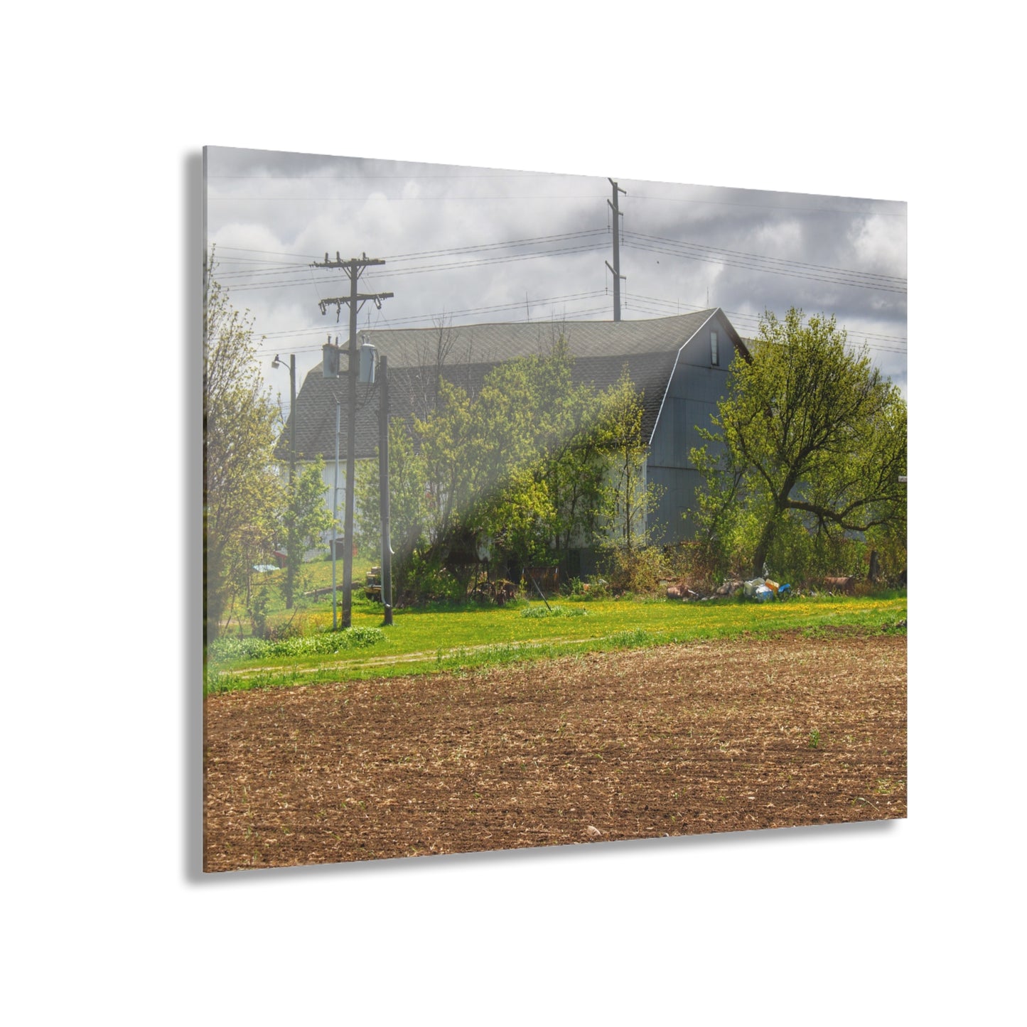 U R There Photography Rescue Road Old Grey Rustic Farmhouse Acrylic Wall Print