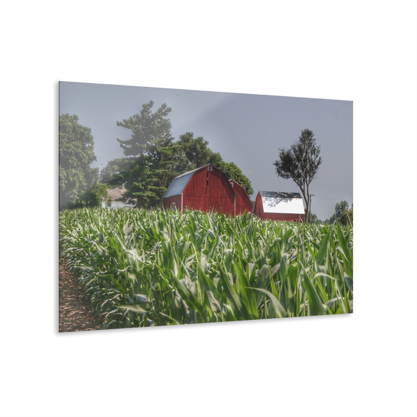 U R There Photography Shoemaker Reds Rustic Farmhouse Acrylic Wall Print