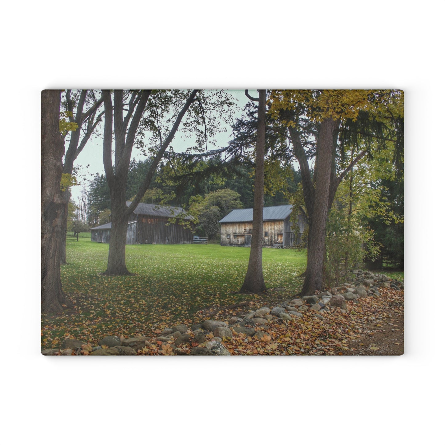U R There Photography Wilder Road Grey I Rustic Farmhouse Tempered-Glass Cutting Board