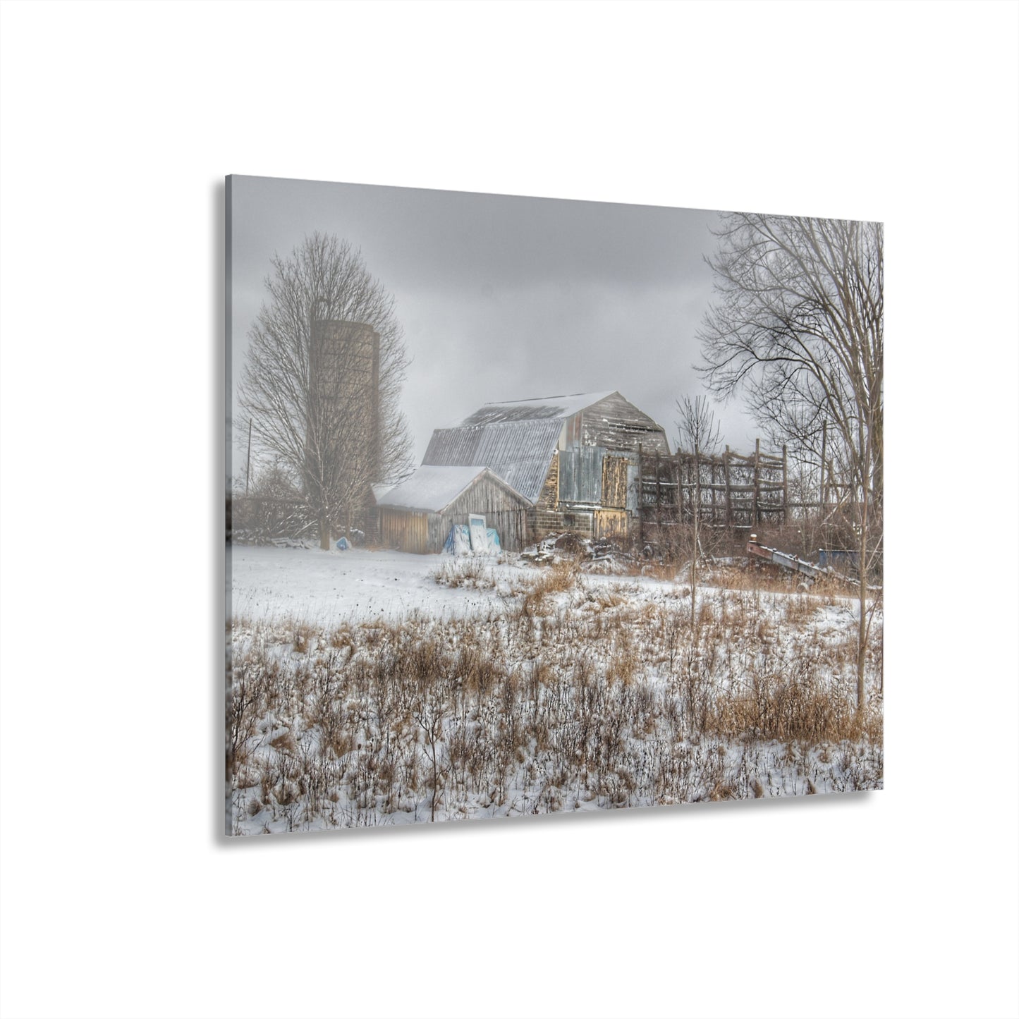 U R There Photography Vermilya Grey and Silo Rustic Farmhouse Acrylic Wall Print