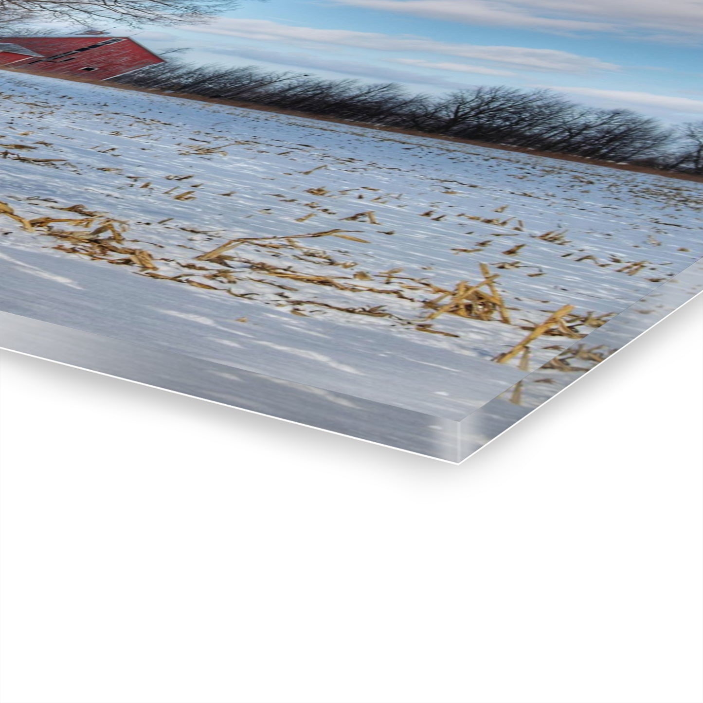 U R There Photography Across Barnes Road Frozen Cornfield Rustic Farmhouse Acrylic Wall Print 14″ x 11″ (Horizontal) 0.25''