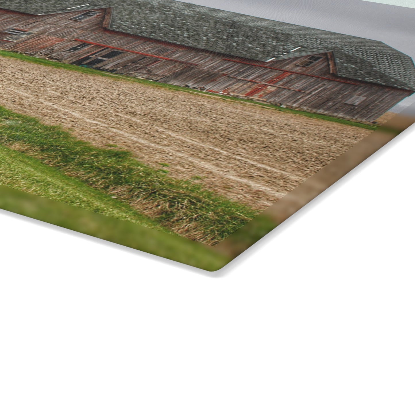 U R There Photography Roedel Roadside Reds I Rustic Farmhouse Tempered-Glass Cutting Board