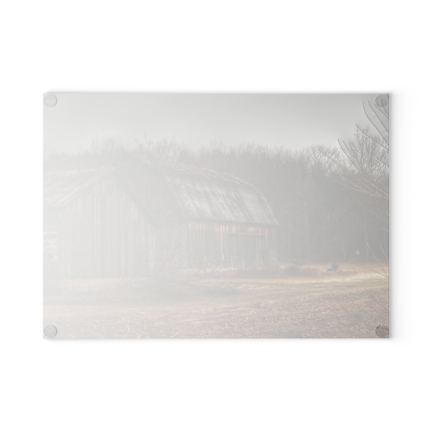 U R There Photography Arbela Road Greys Rustic Farmhouse Tempered-Glass Cutting Board
