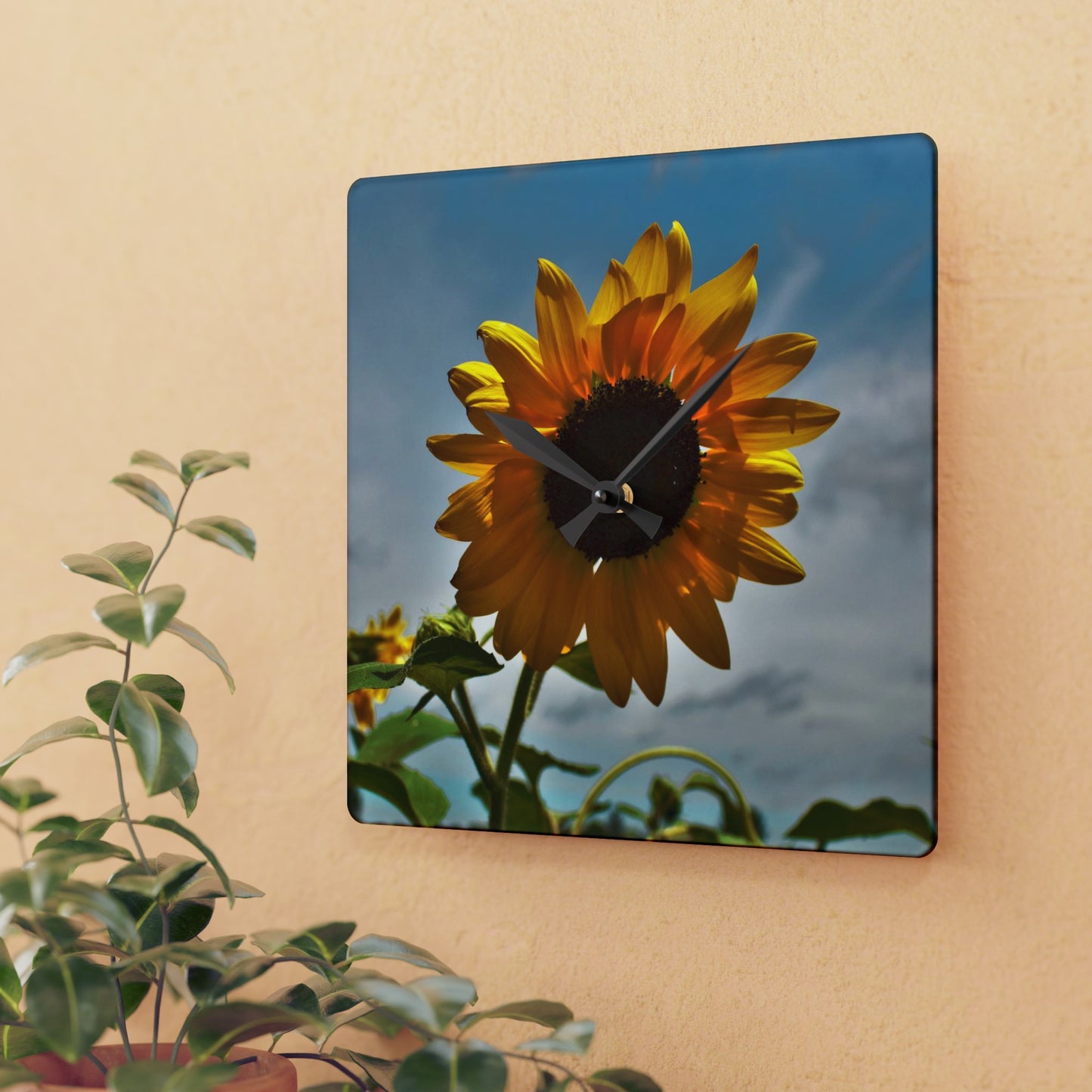 Rustic Farmhouse Wall Clock featuring Awakening Sunflower