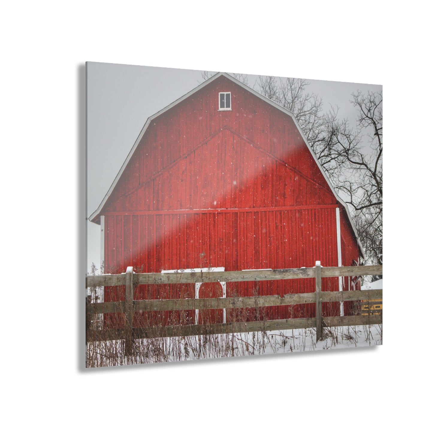 U R There Photography Big Red Beyond the Fence Rustic Farmhouse Acrylic Wall Print