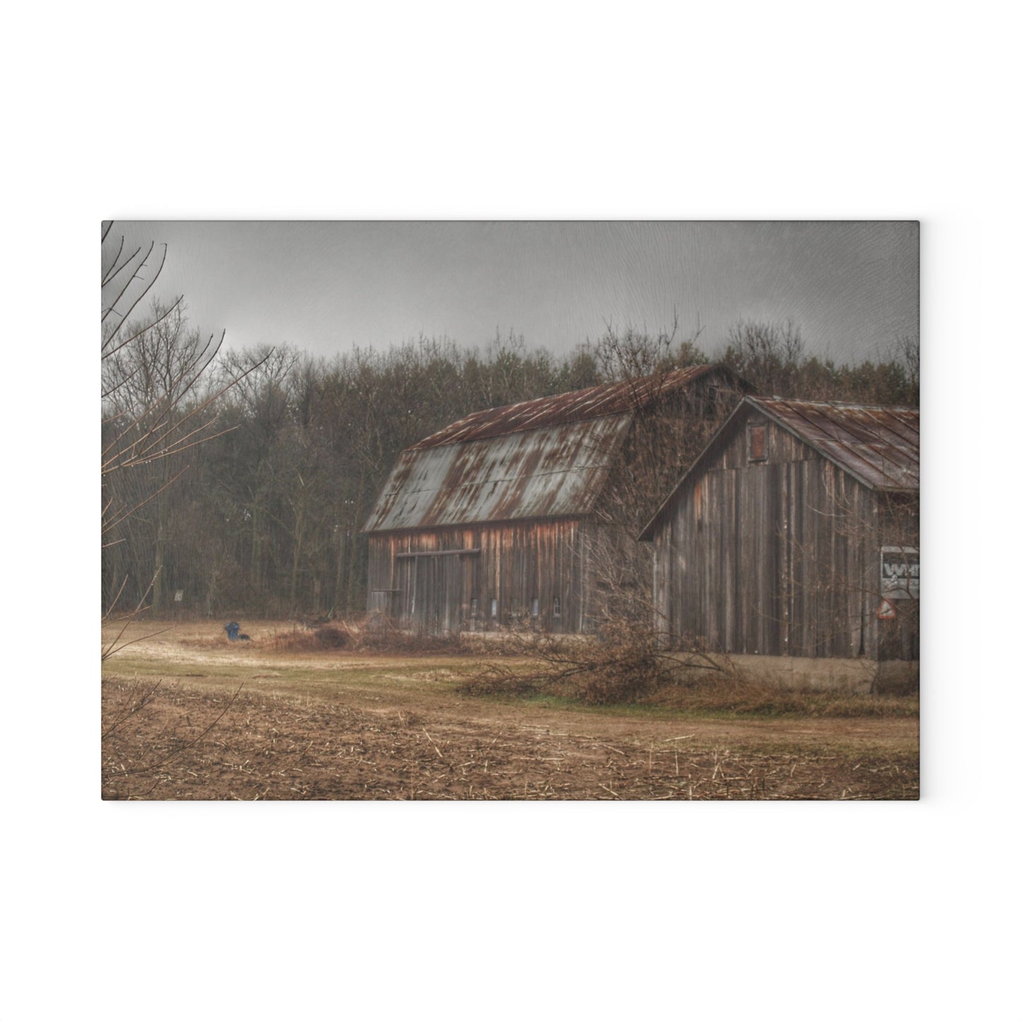 U R There Photography Arbela Road Greys Rustic Farmhouse Tempered-Glass Cutting Board