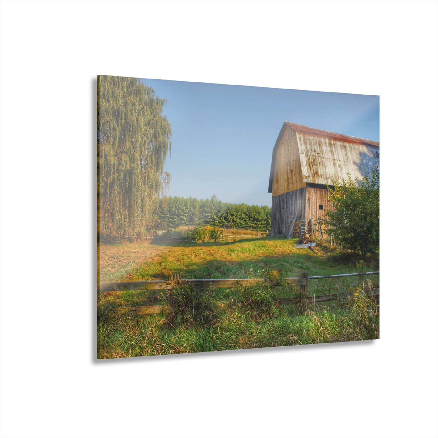 U R There Photography Snover Golden Grey Rustic Farmhouse Acrylic Wall Print