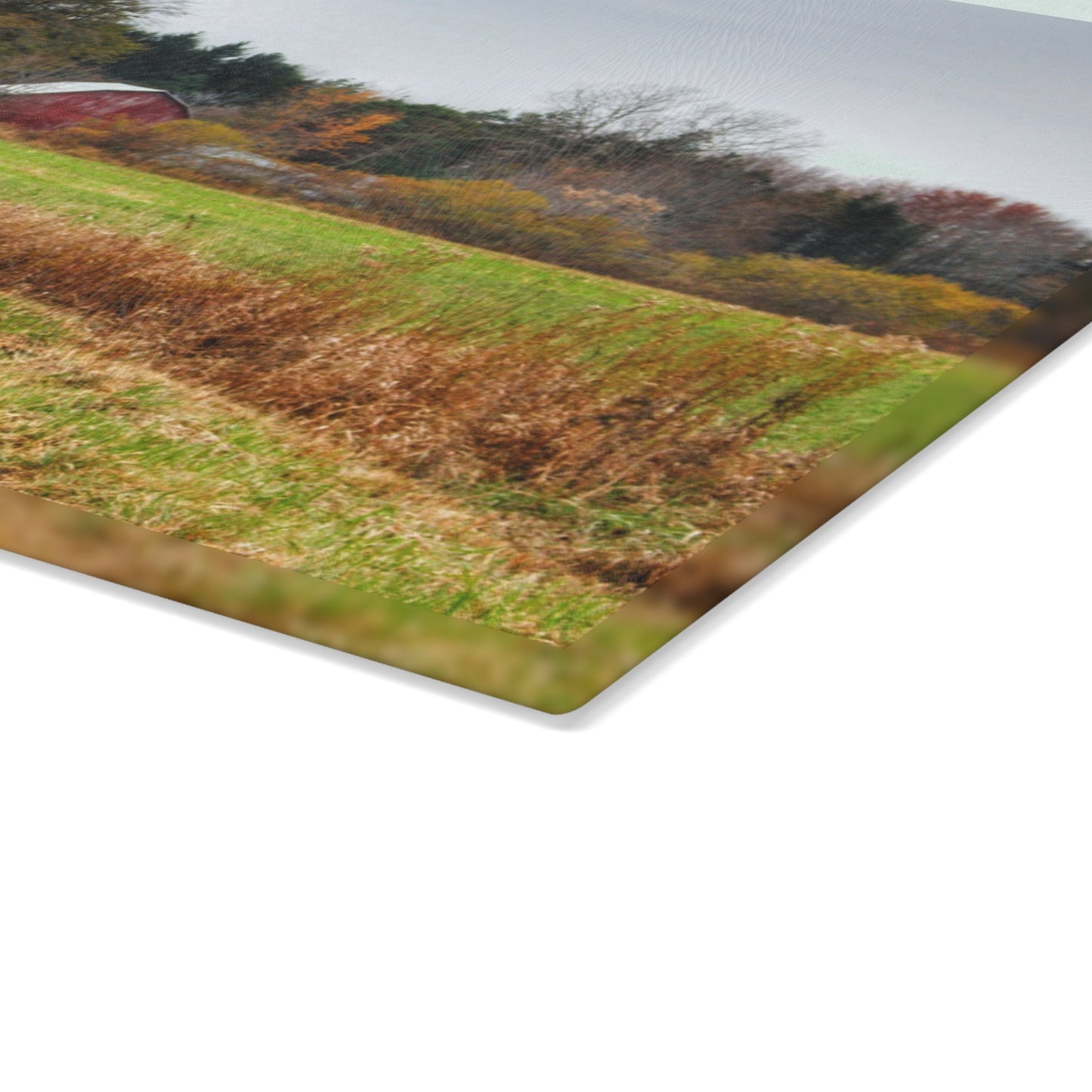U R There Photography Stone Road Red Rustic Farmhouse Tempered-Glass Cutting Board