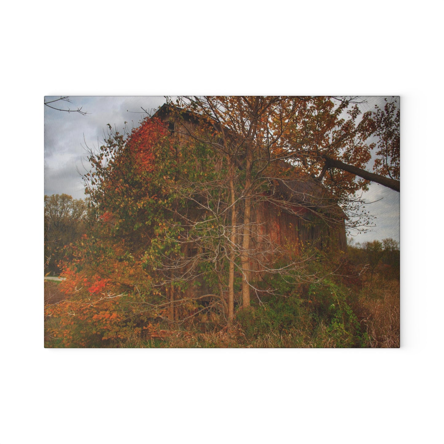 U R There Photography Annie's Barn III Rustic Farmhouse Tempered-Glass Cutting Board