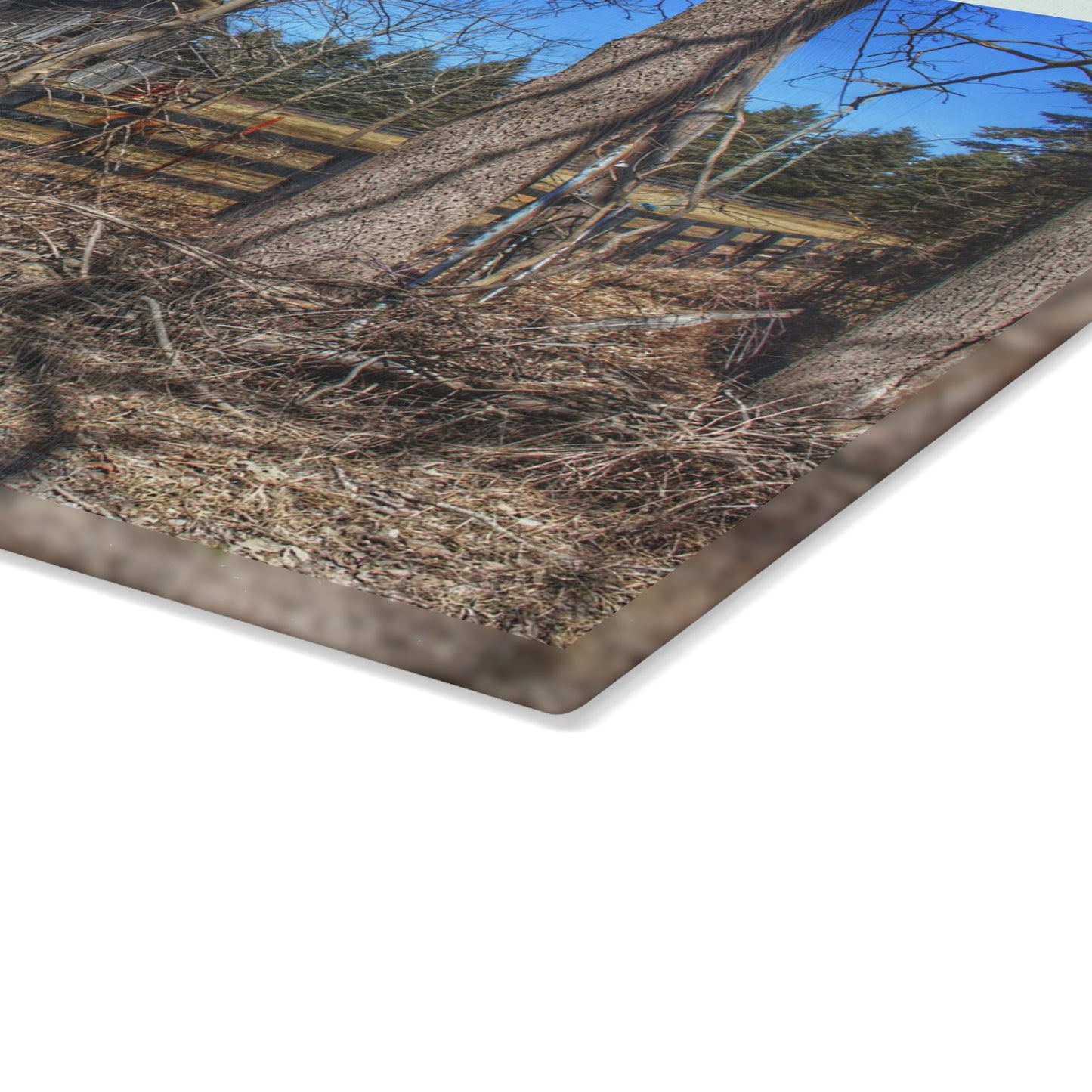 U R There Photography Brewer Road Grey Rustic Farmhouse Tempered-Glass Cutting Board