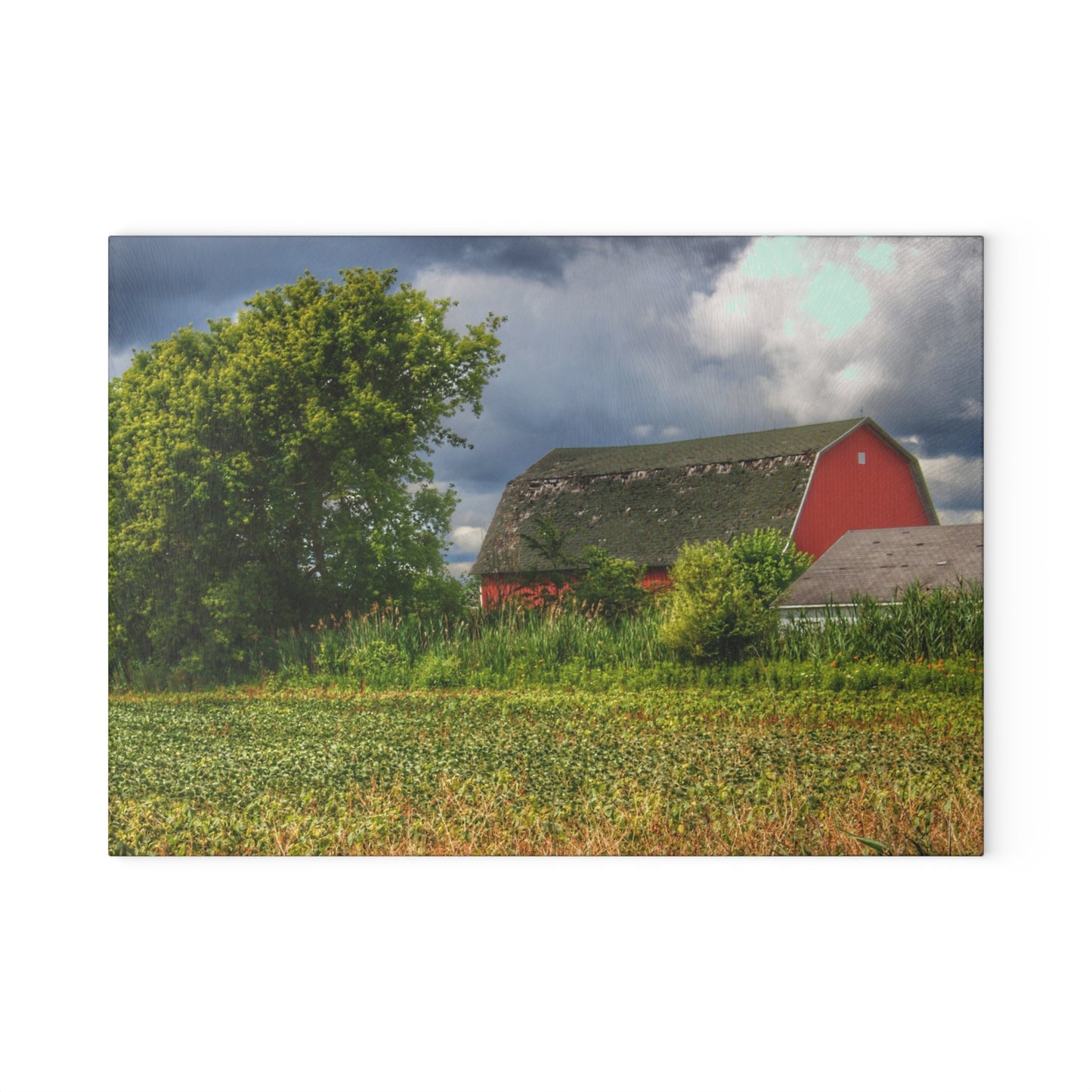 U R There Photography Shelby Red IV Rustic Farmhouse Tempered-Glass Cutting Board