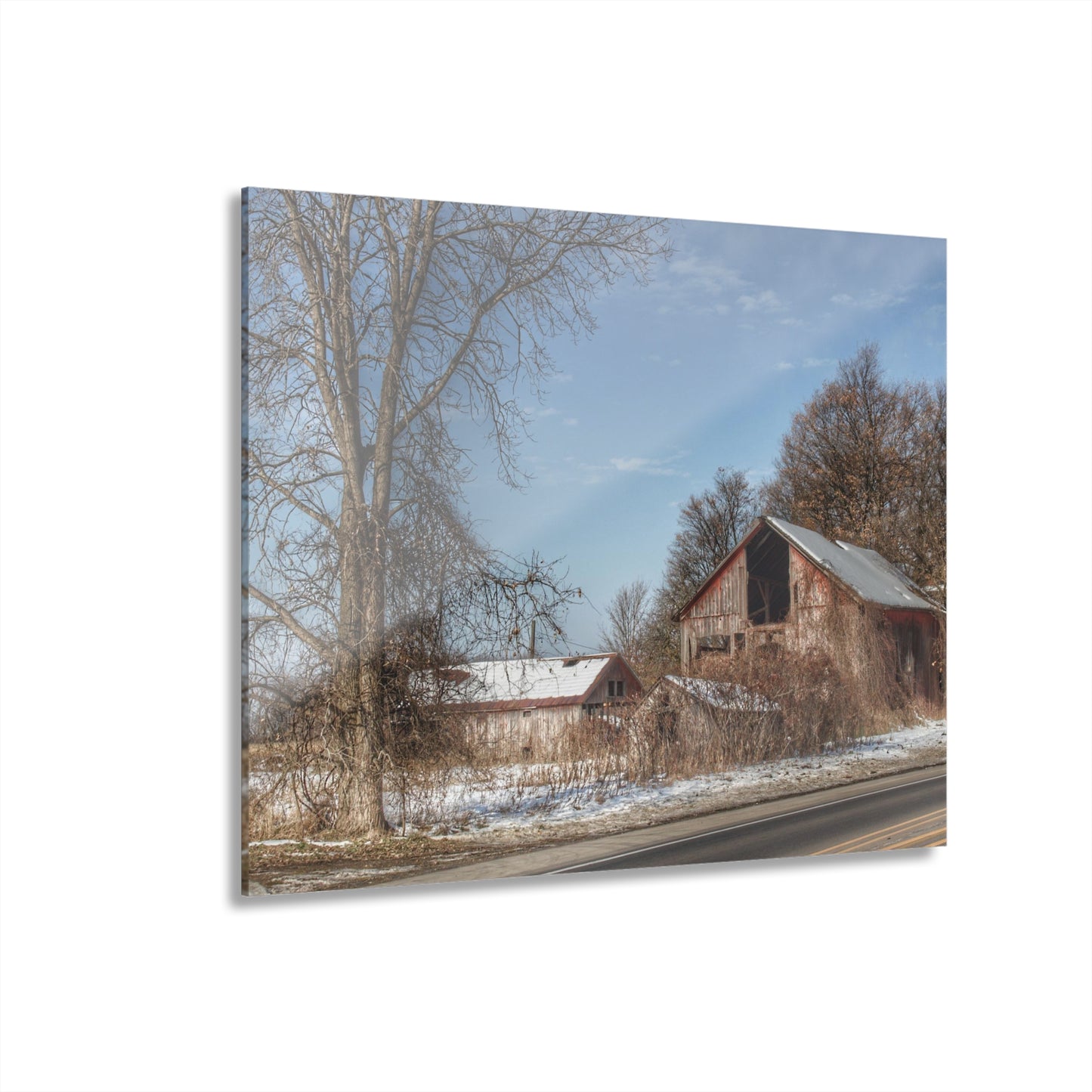 U R There Photography Almont Van Dyke Red I Rustic Farmhouse Acrylic Wall Print