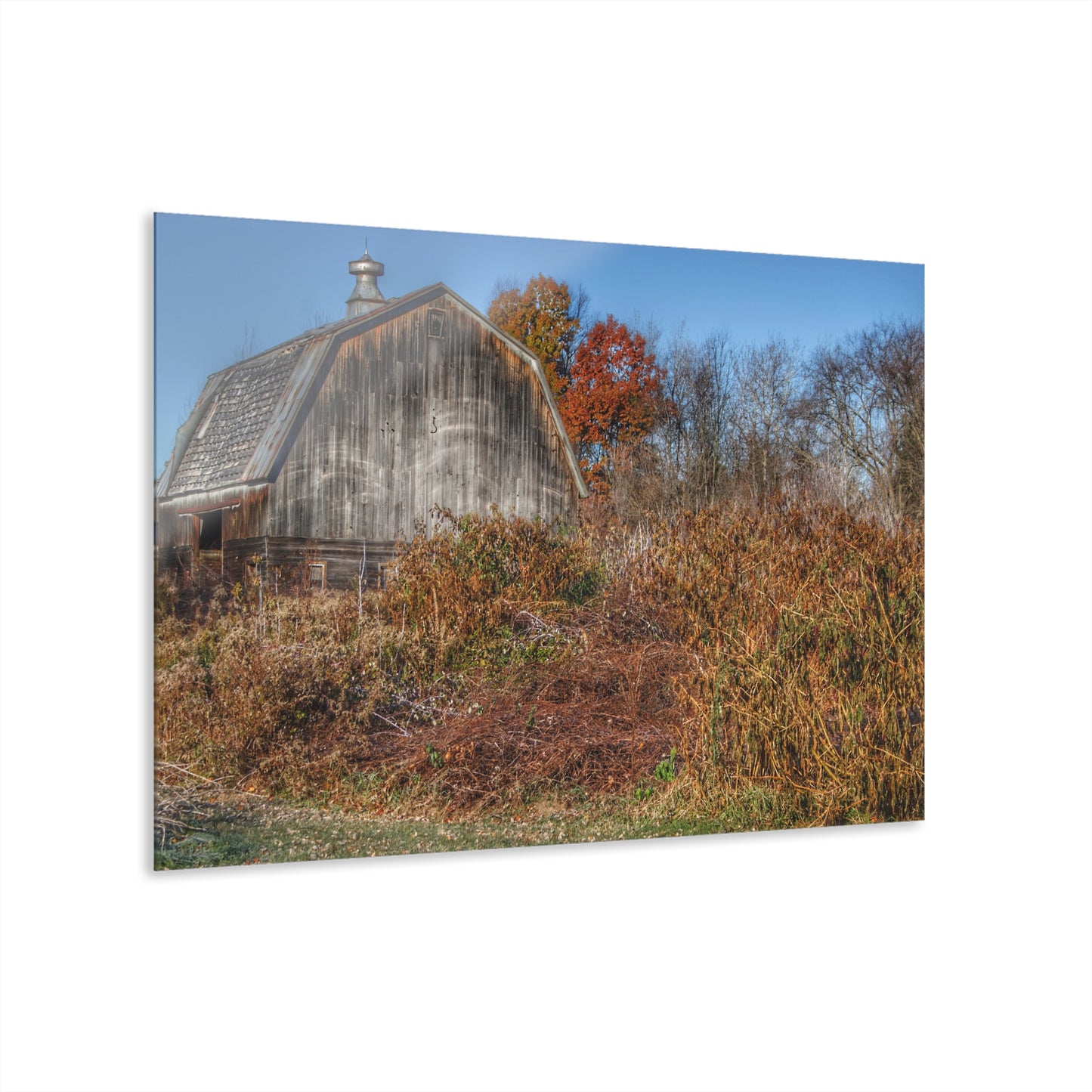 U R There Photography Vassar Road Hidden Grey II Rustic Farmhouse Acrylic Wall Print
