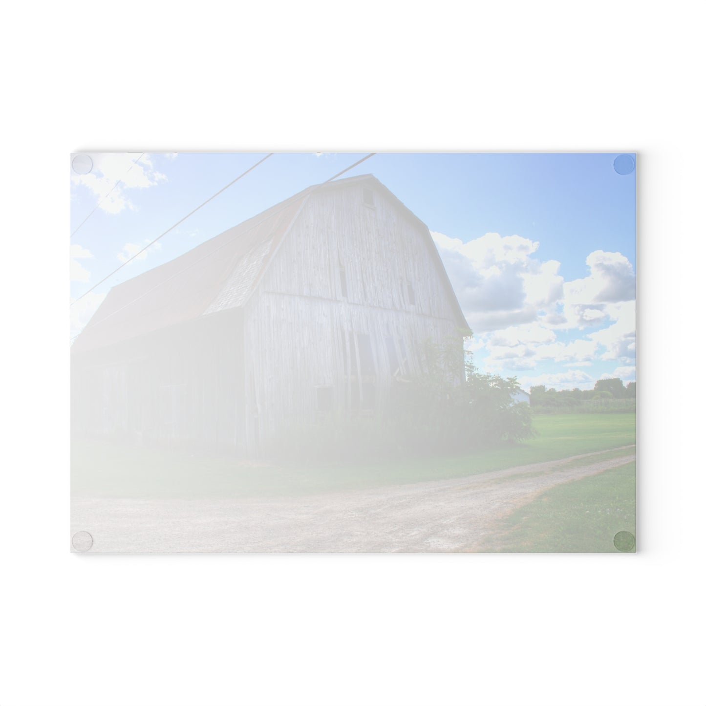 U R There Photography Schoenherr Road Grey I Rustic Farmhouse Tempered-Glass Cutting Board