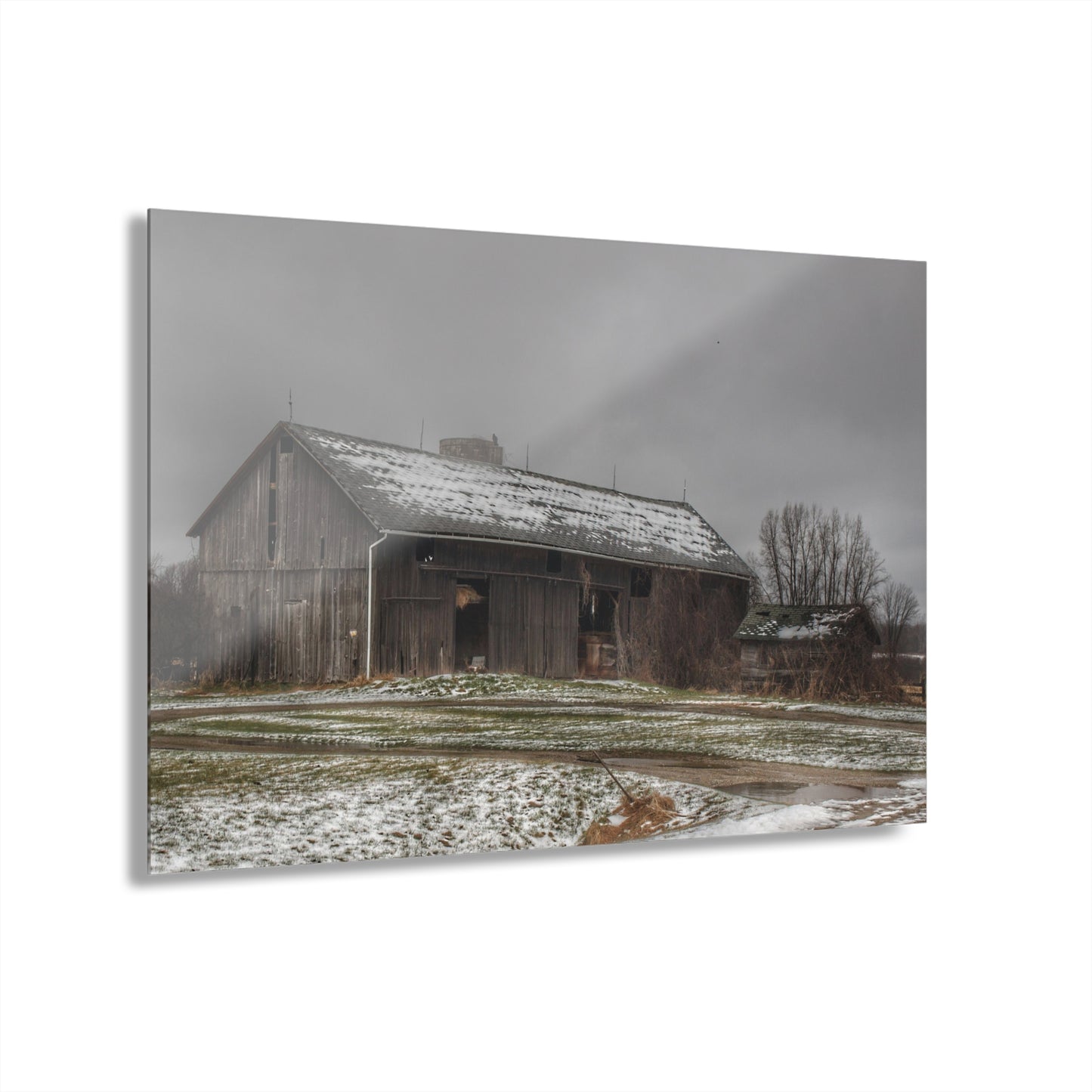 U R There Photography Wilder Road Grey in Spring Rustic Farmhouse Acrylic Wall Print