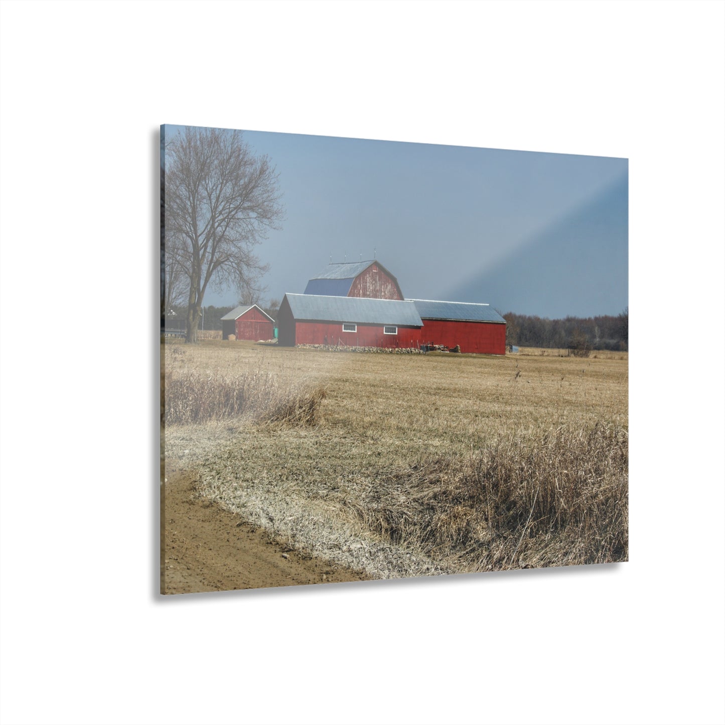 U R There Photography Romeo Plank Road Reds II Rustic Farmhouse Acrylic Wall Print