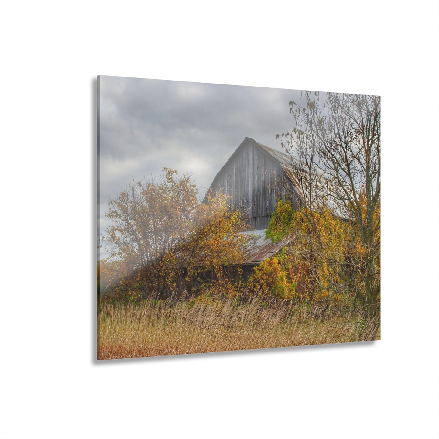 U R There Photography Church Road Grey IV Rustic Farmhouse Acrylic Wall Print