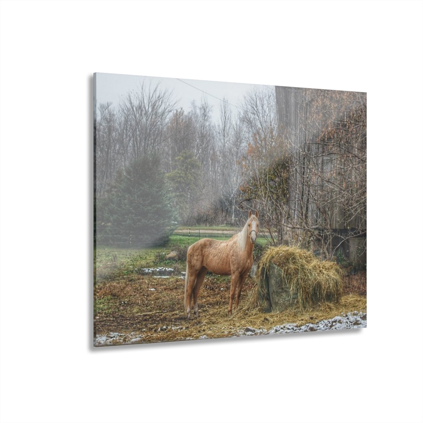 U R There Photography French Road Butterscotch Rustic Farmhouse Acrylic Wall Print