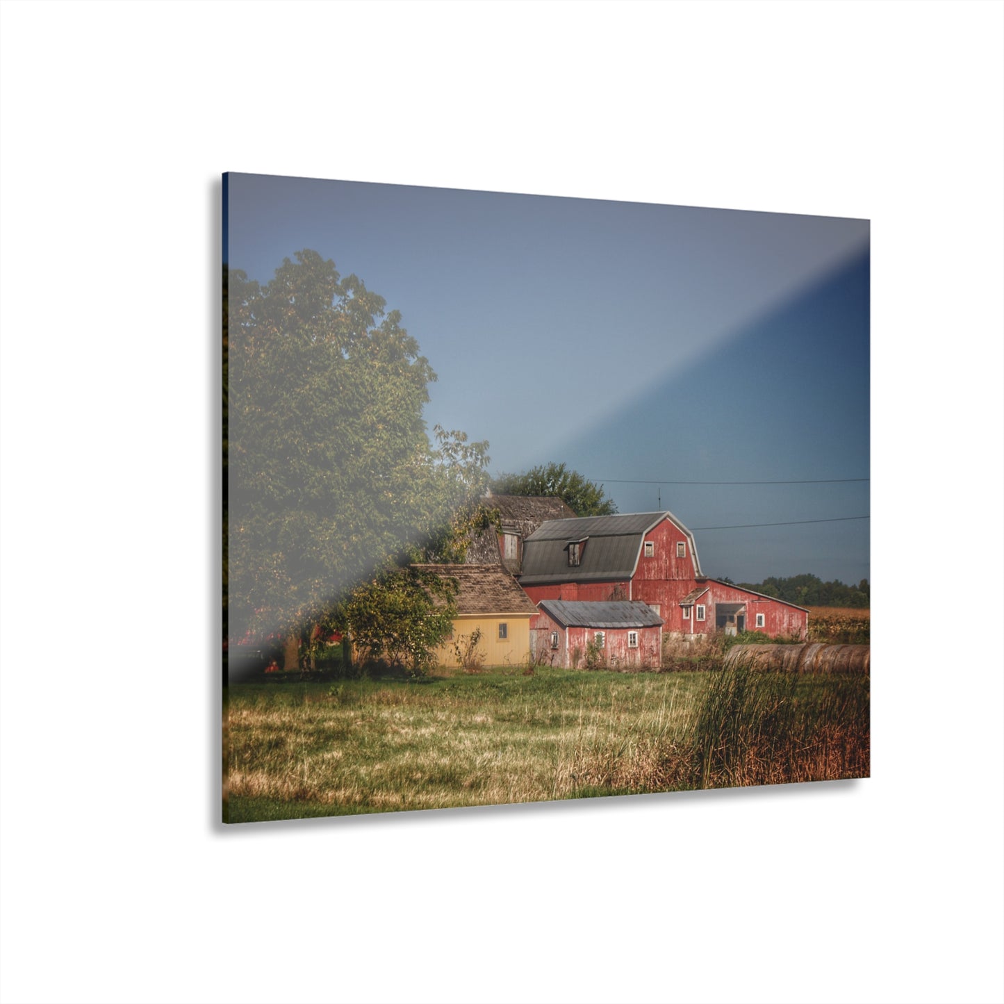 U R There Photography Rochester Road Red I Rustic Farmhouse Acrylic Wall Print