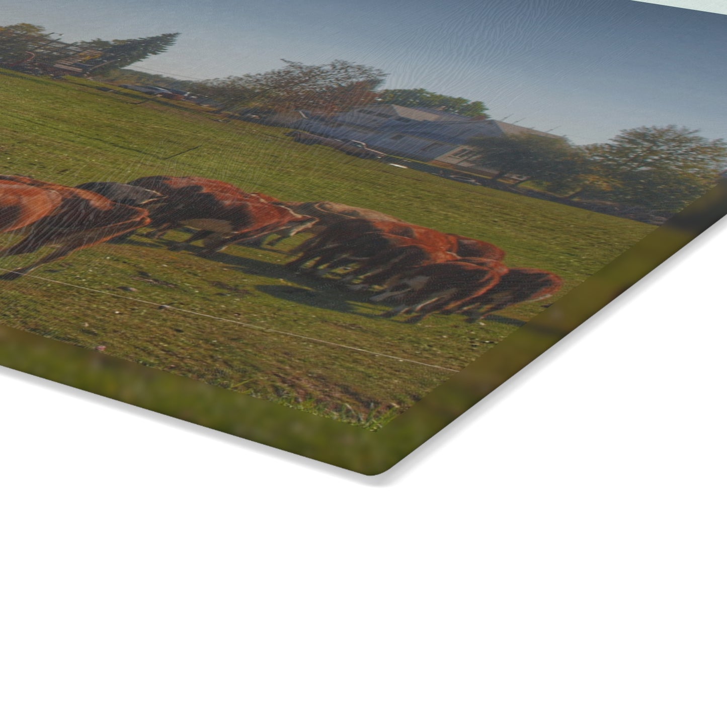 U R There Photography Plain Road Farm and Cows Rustic Farmhouse Tempered-Glass Cutting Board