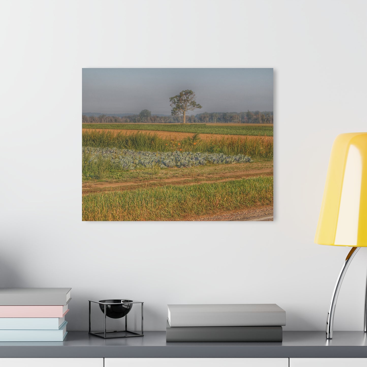 U R There Photography Cabbage and Pumpkin Patch Rustic Farmhouse Acrylic Wall Print