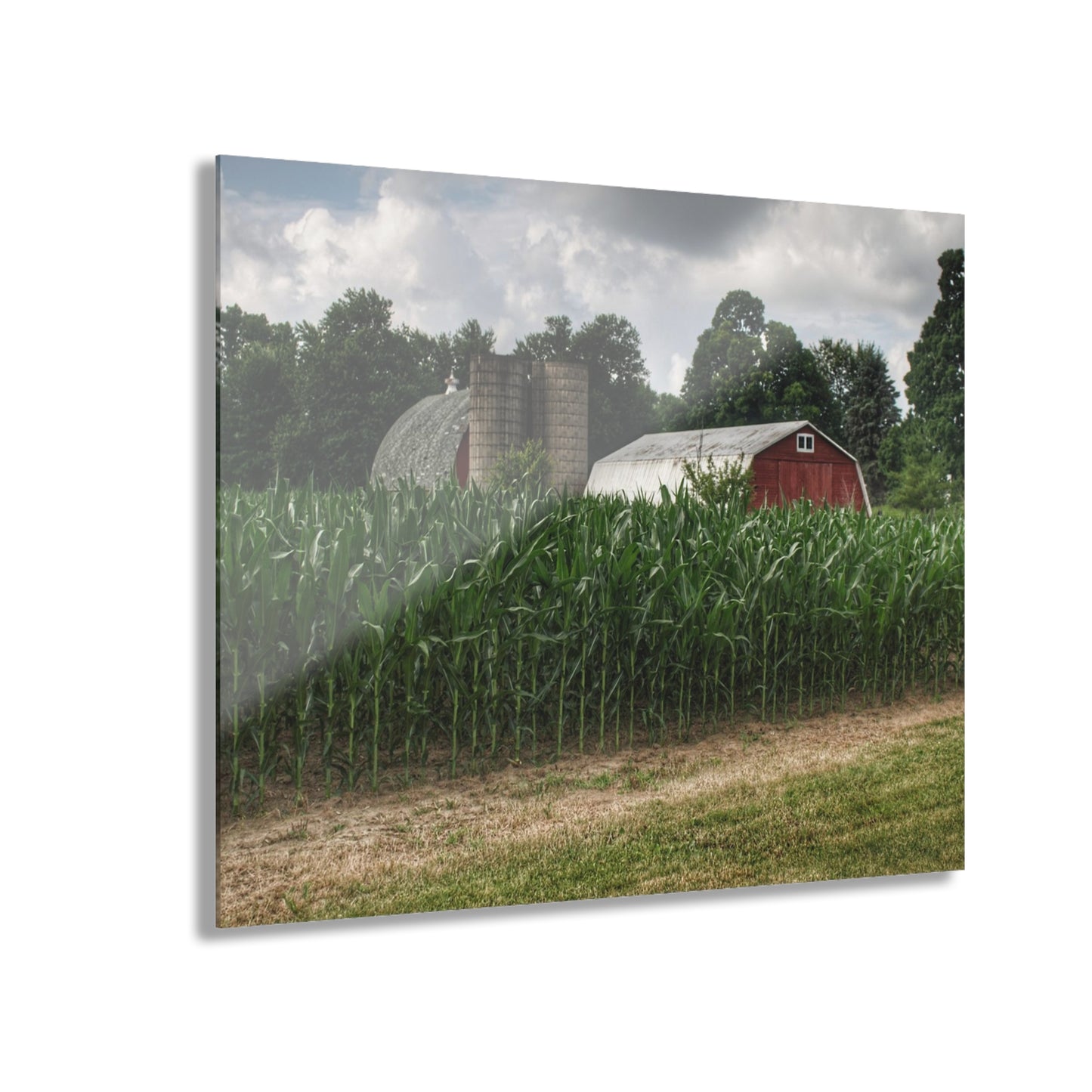 U R There Photography Scotch Settlement Reds Rustic Farmhouse Acrylic Wall Print