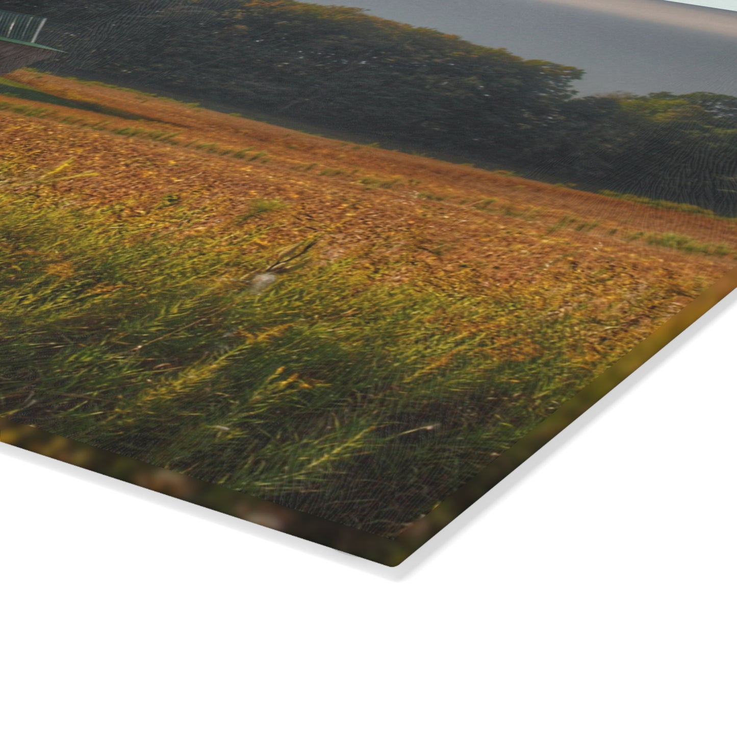 U R There Photography Snover Grey I Rustic Farmhouse Tempered-Glass Cutting Board
