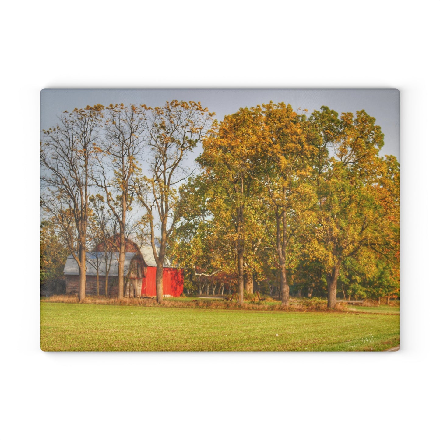 U R There Photography Barkley Road Red II Rustic Farmhouse Tempered-Glass Cutting Board