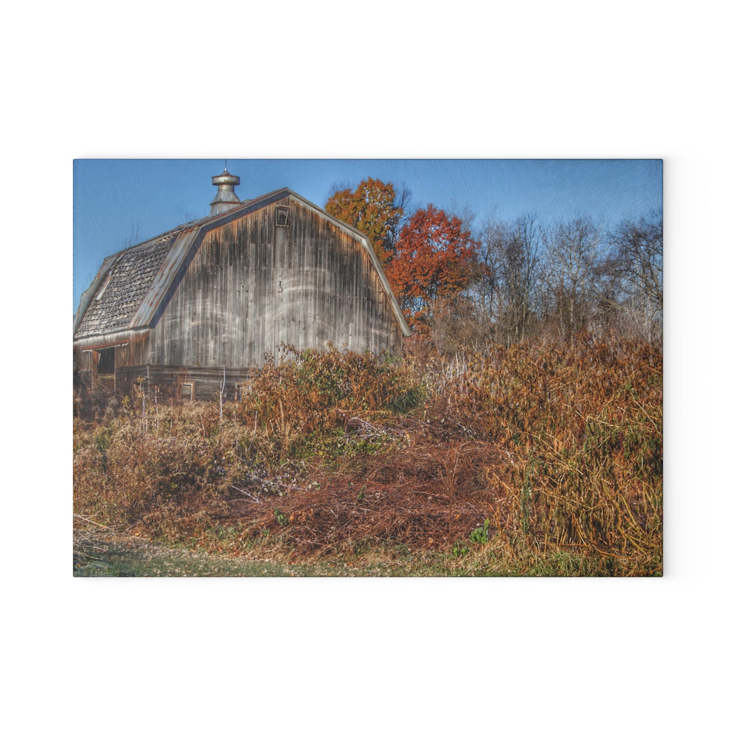 U R There Photography Vassar Road Hidden Grey II Rustic Farmhouse Tempered-Glass Cutting Board