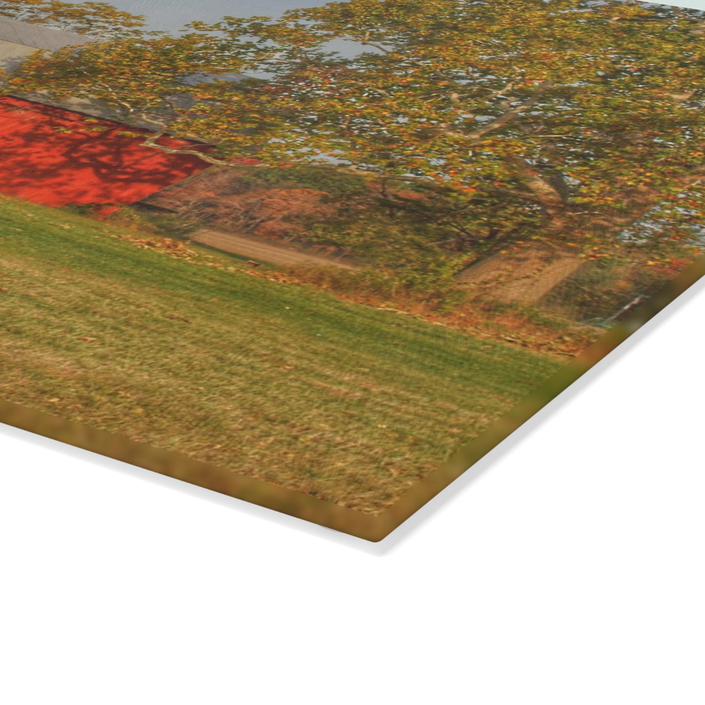 U R There Photography Barkley Road Red I Rustic Farmhouse Tempered-Glass Cutting Board