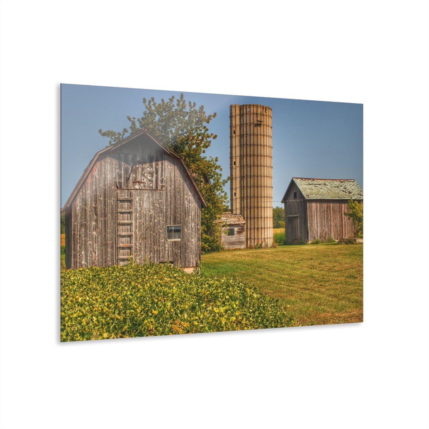 U R There Photography Swaffer Mini Greys and Silos Rustic Farmhouse Acrylic Wall Print