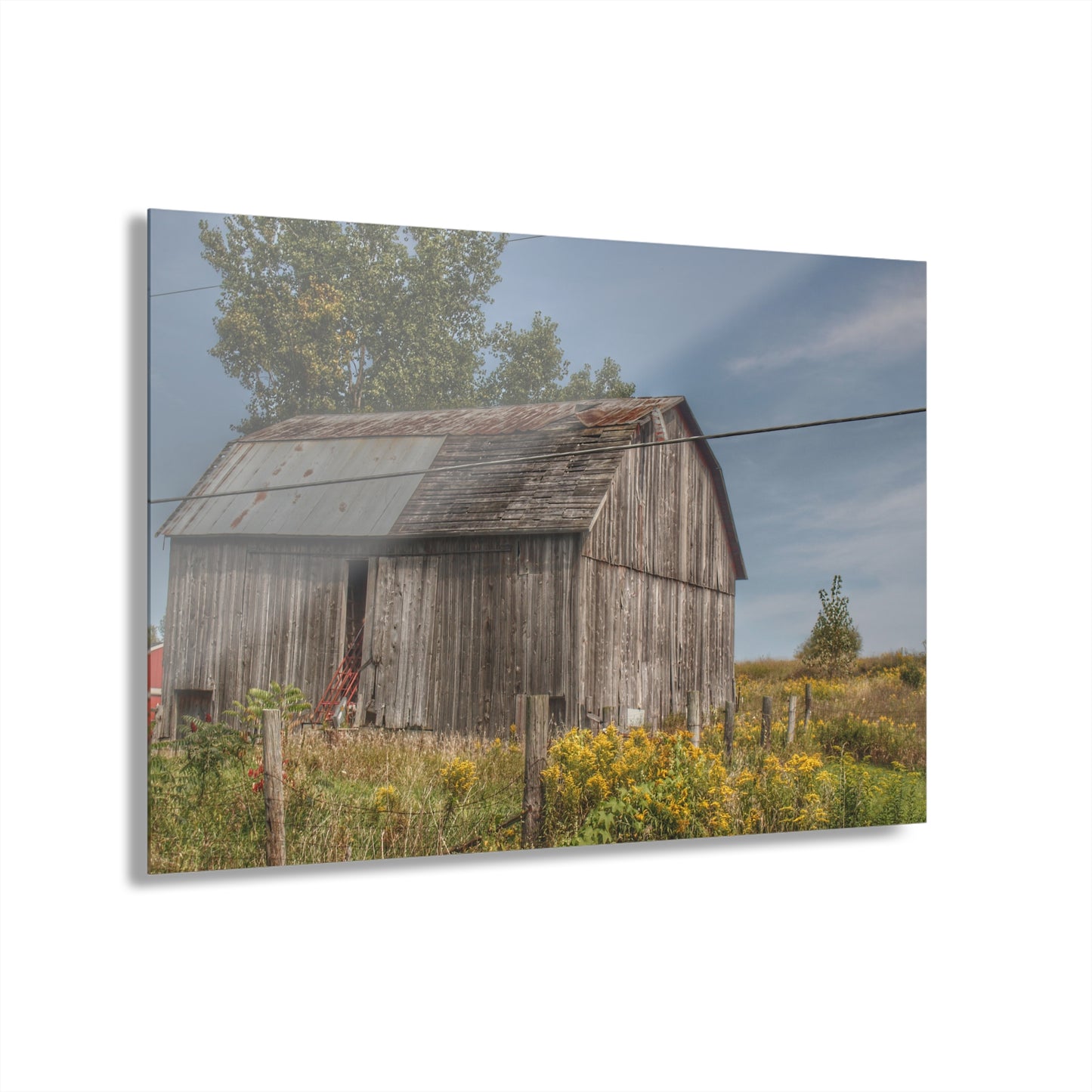 U R There Photography Schott Road Grey I Rustic Farmhouse Acrylic Wall Print