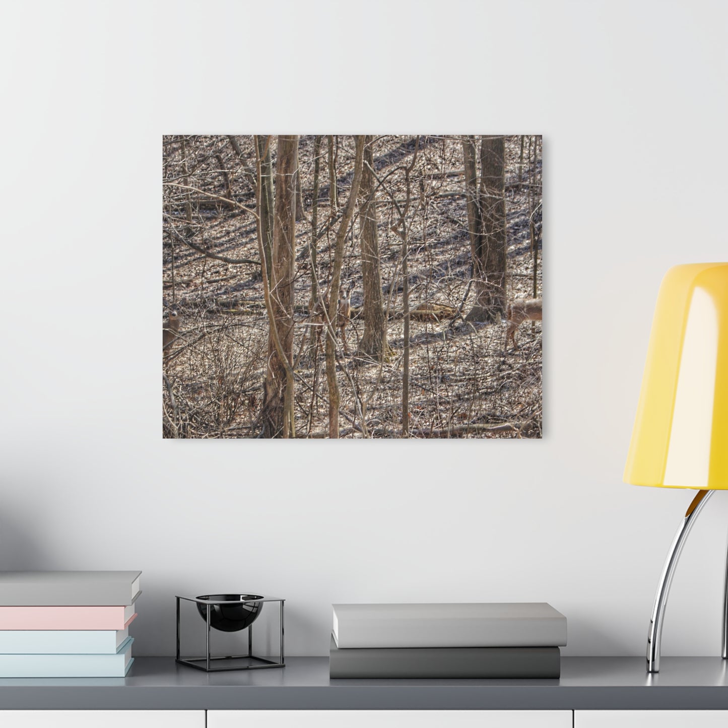 U R There Photography Three Does of Dryden Rustic Farmhouse Acrylic Wall Print