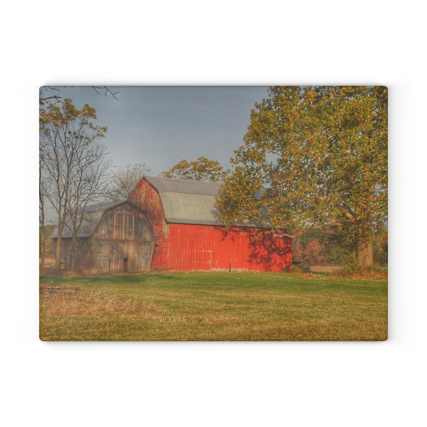 U R There Photography Barkley Road Red I Rustic Farmhouse Tempered-Glass Cutting Board