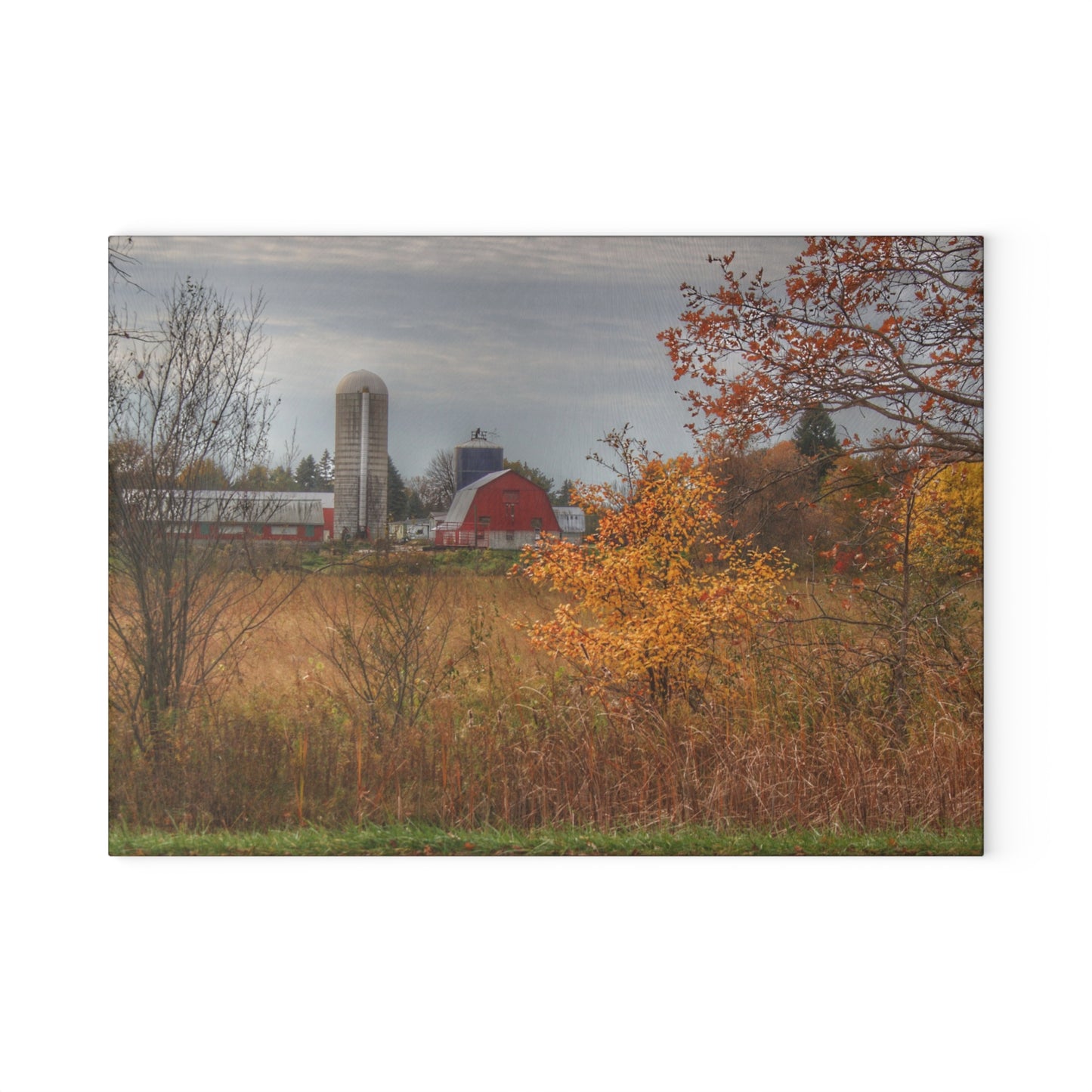 U R There Photography Vienna Road Red and Silo Rustic Farmhouse Tempered-Glass Cutting Board