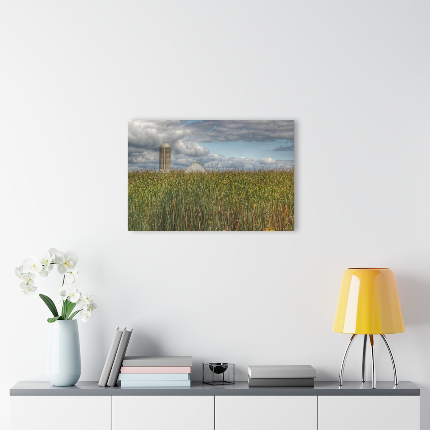 U R There Photography White Barn Overlooking Cornfield Rustic Farmhouse Acrylic Wall Print