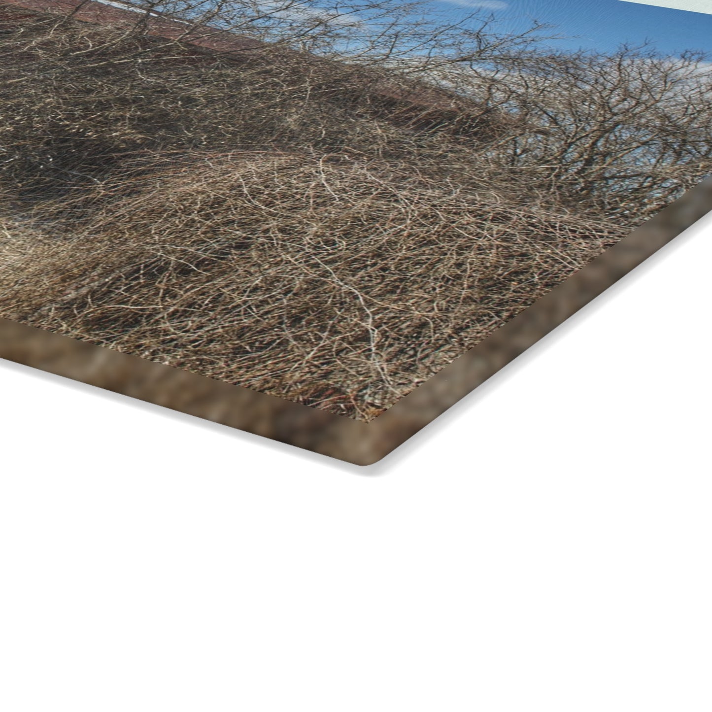 U R There Photography Buried Burnside Greys I Rustic Farmhouse Tempered-Glass Cutting Board