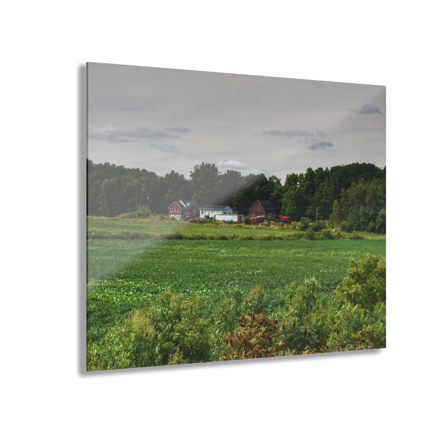 Rustic Farmhouse Wall Print Featuring Across the Field in Silverwood