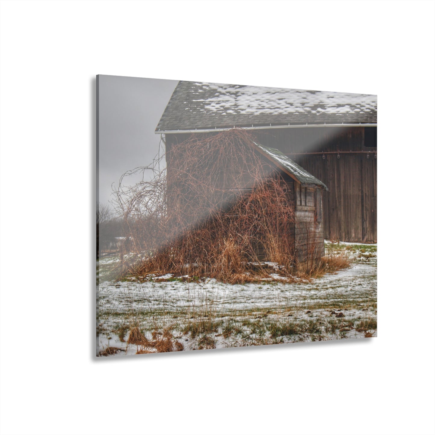 U R There Photography Wilder Road Little Grey Rustic Farmhouse Acrylic Wall Print