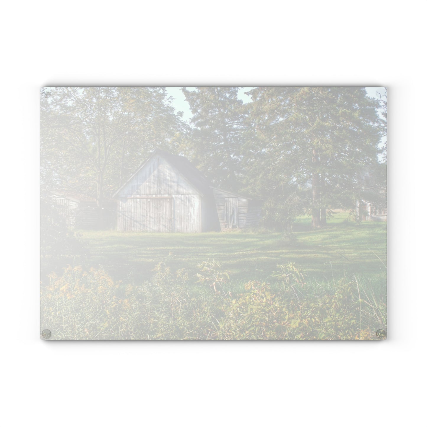 U R There Photography Bowers Road Little White Rustic Farmhouse Tempered-Glass Cutting Board