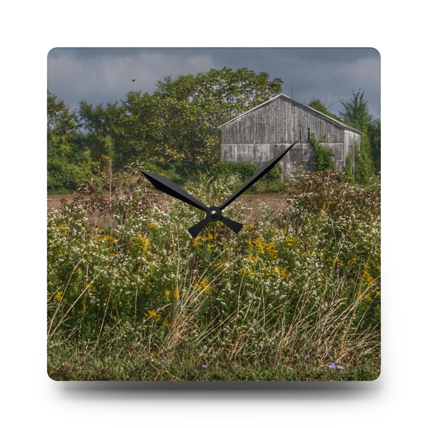 U R There Photography Almont Road Grey Rustic Farmhouse Acrylic Analog Wall Clock