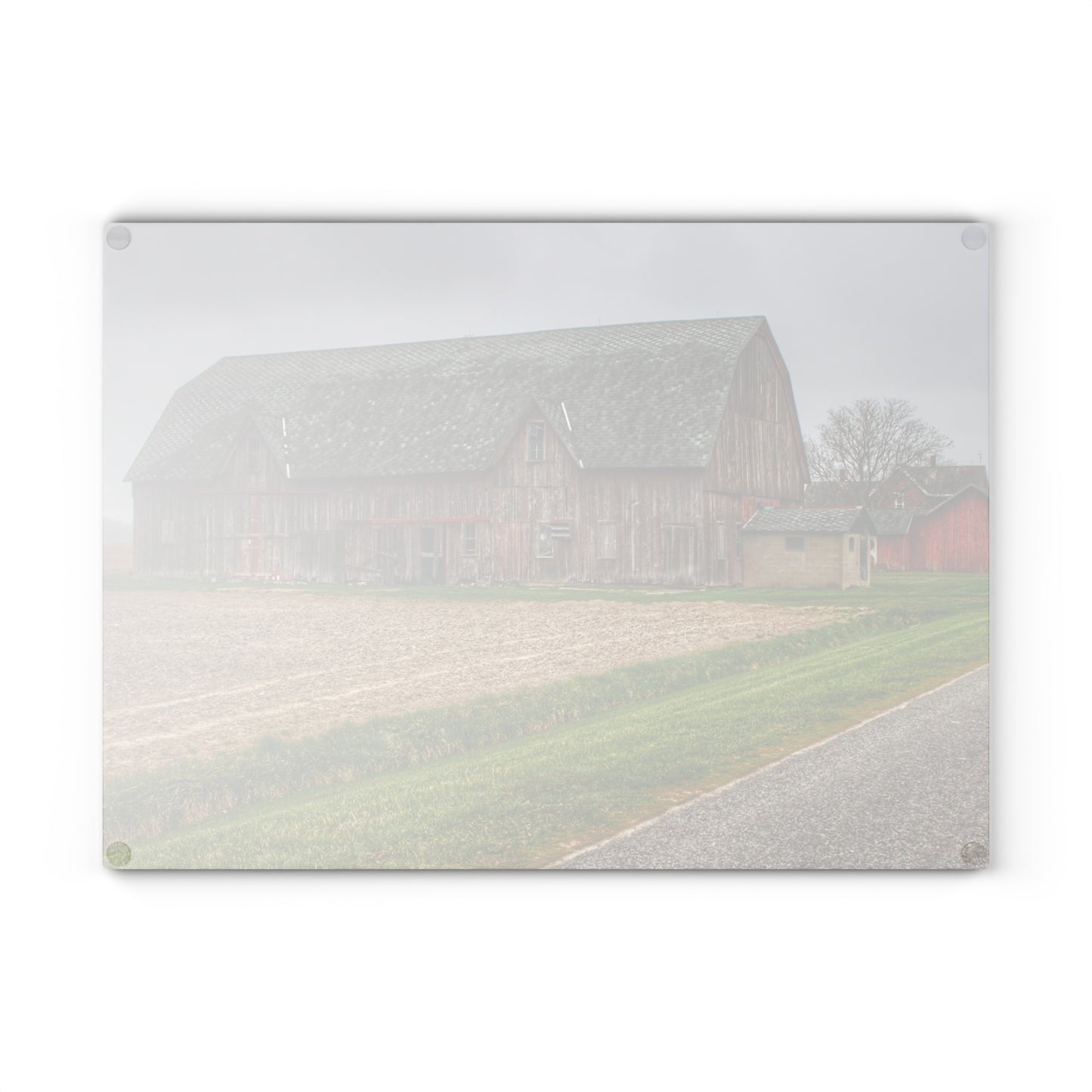 U R There Photography Roedel Roadside Reds I Rustic Farmhouse Tempered-Glass Cutting Board