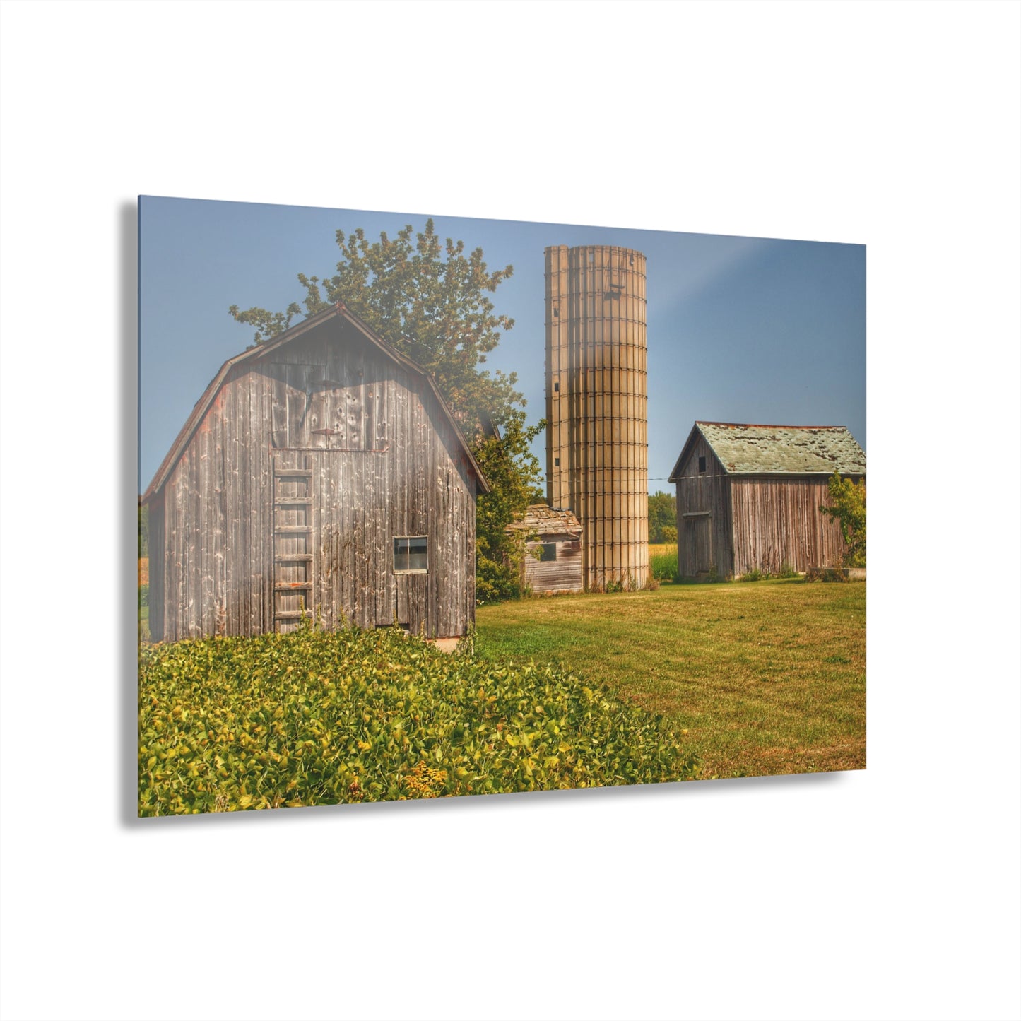 U R There Photography Swaffer Mini Greys and Silos Rustic Farmhouse Acrylic Wall Print